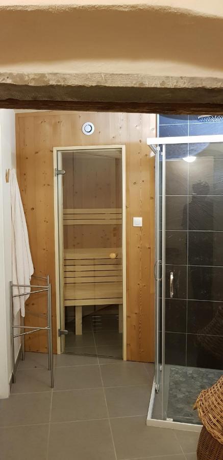 La Chouette Maison - Chambres D'Hotes Et Gite En Ville Ремирмонт Екстериор снимка